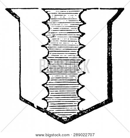 Pale Engrailed have object being edged with small semi-circles, vintage line drawing or engraving illustration.