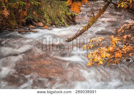 Mountain river water flowing gently downstream between Autumn colored leaves. Soothing peaceful background for yoga/mind meditation/wellness therapy session.