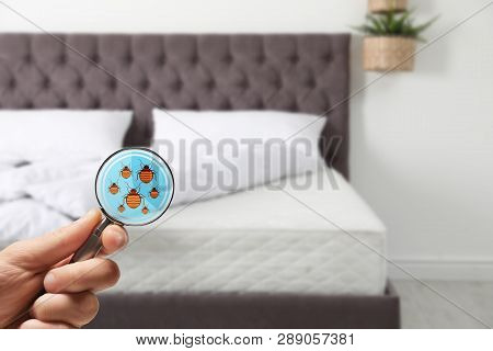 Woman With Magnifying Glass Detecting Bed Bugs On Mattress, Closeup. Space For Text