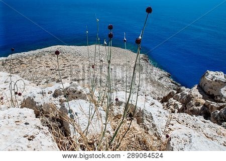 Sea Caves Near Cape Greko. Mediterranean Sea