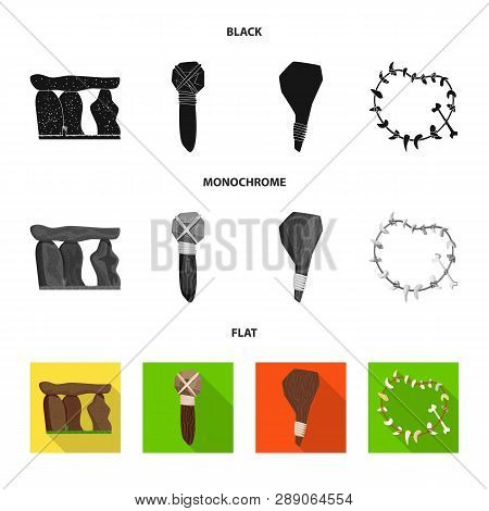 Vector Illustration Of Evolution  And Prehistory Sign. Set Of Evolution  And Development  Vector Ico