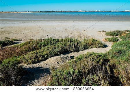 Beautiful Salt Lake In Larnaca, Cyprus. Natural Background. Landscape
