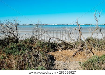 Beautiful Salt Lake In Larnaca, Cyprus. Natural Background. Landscape