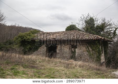 Abandoned House Overgrown With Poison Ivy In An Abandoned Village Slapnik In Region Goriška Brda, Sl