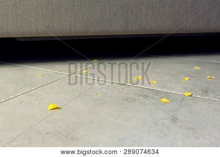 Corn Flake Crumbs On The Floor Next To The Sofa. Corn Flakes On The Floor On The Gray Tile.