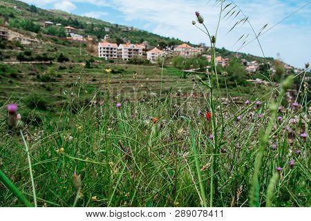 Faraya Valley And Village With Scattered Houses Shot From The Hill. Lebanon