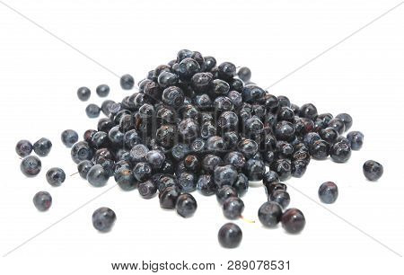 Bilberry Seeds, Vaccinium Myrtillus, Medicinal Herb Seeds, Whortleberry, Perennial, Blaeberry Isolat