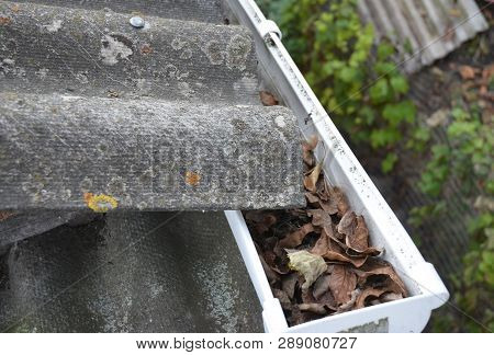 Clean Gutters. Gutter Leaf Removal. Roof Gutter With Fallen Leaves. Rain Gutter Cleaning Photo.