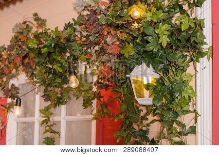Ivy Wrapped Window Opening Of House. Wildlife Plants Home Window Climb. Retro Lantern In An Arch Of 