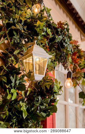 Ivy Wrapped Window Opening Of House. Wildlife Plants Home Window Climb. Retro Lantern In An Arch Of 