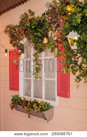 Ivy Wrapped Window Opening Of House. Wildlife Plants Home Window Climb. Retro Lantern In An Arch Of 