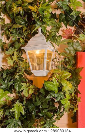 Ivy Wrapped Window Opening Of House. Wildlife Plants Home Window Climb. Retro Lantern In An Arch Of 