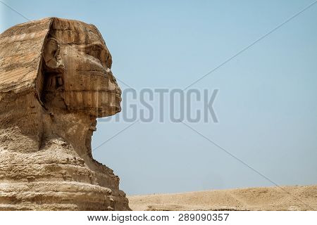 Egyptions Swinks With The Great Piramid Of Giza In The Background