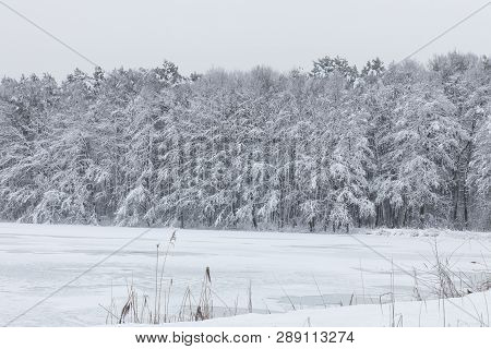 Bavarian Winter Landscape Next Next To Schwandorf, Charlottenhofer Weihergebiet