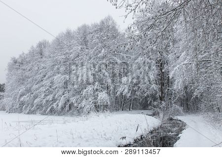 Bavarian Winter Landscape Next Next To Schwandorf, Charlottenhofer Weihergebiet