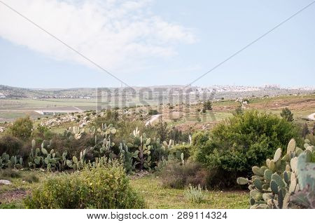 Mevo Horon, Settelment In Israel Near Modiin And Latrun.
