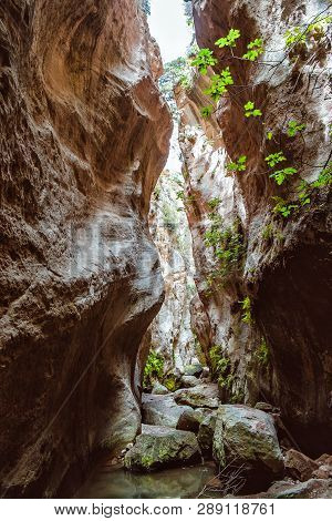 Stuck Hanging Stone In Avakas Canyon. Akamas Peninsula Landscape. Cyprus Landmark