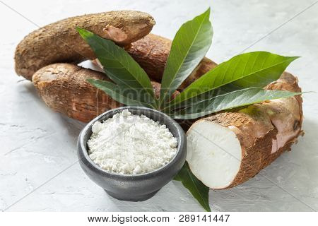 Raw Yucca Starch On The Wooden Table - Manihot Esculenta.