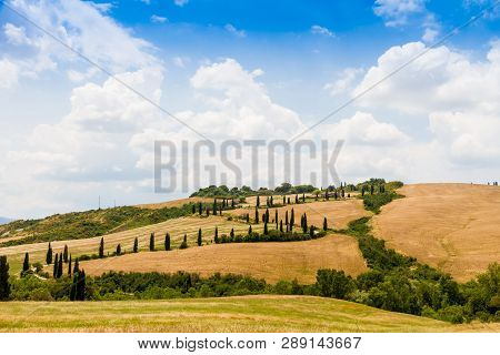 Winding Road Flanked With Cypresses Under A Cloudy Summer Sky In Crete Senesi Near Siena In Tuscany,