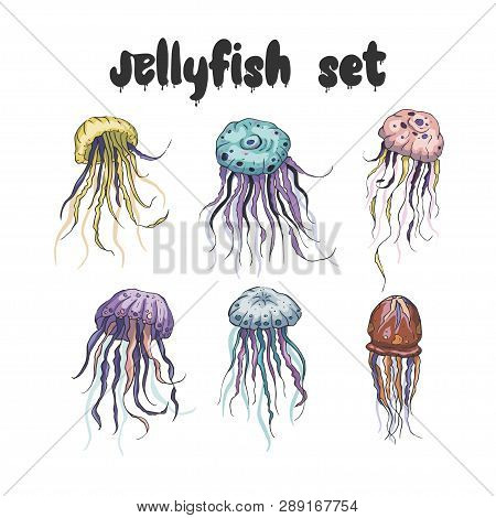 Jelly Fish Vector Set. Sea Animal Vector Collection. Marine Hand Drawn Tropical Animals. Perfect For