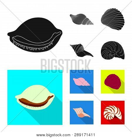 Vector Illustration Of Animal And Decoration Sign. Set Of Animal And Ocean Stock Vector Illustration