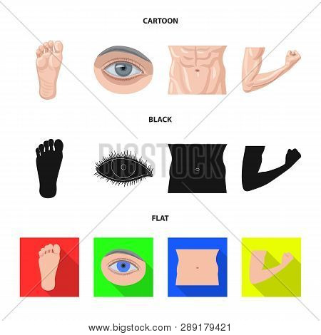 Vector Illustration Of Human And Part Sign. Set Of Human And Woman Stock Vector Illustration.