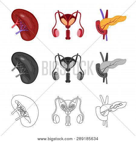 Vector Illustration Of Biology And Scientific Icon. Set Of Biology And Laboratory Vector Icon For St