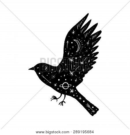 Vector Patterned Polar Bird, Moon And Stars, Space Constellations. Beautiful Onamental Animal Print,