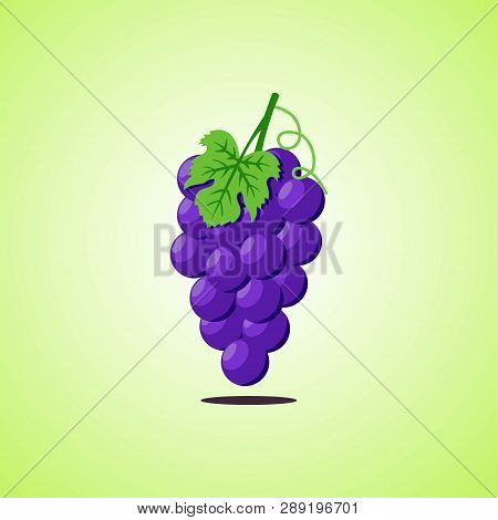 Puple Grapes Icon Isolated On Green Background. Colorful Cartoon Fruit Icon.