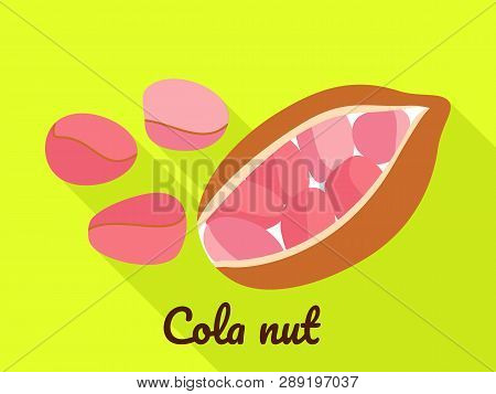 Cola Nut Icon. Flat Illustration Of Cola Nut Icon For Web Design