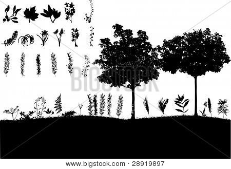 elemento di erba e alberi