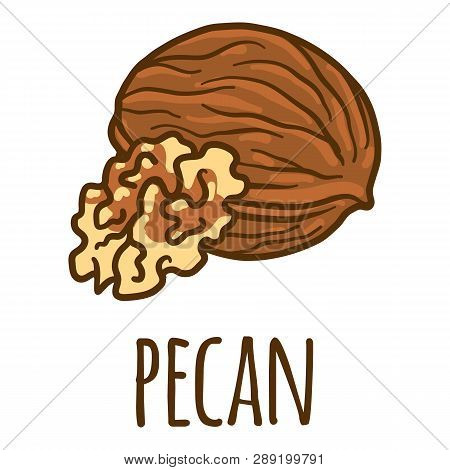 Pecan Icon. Hand Drawn Illustration Of Pecan Icon For Web Design