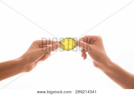 Two Hand Holding The Slice Of Green Cucumber On White Background Witch Copy Space