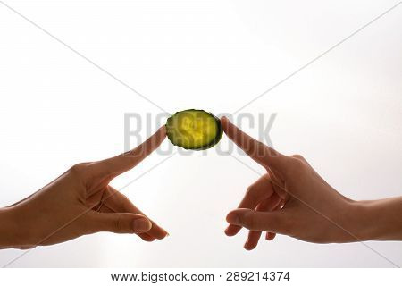 Two Hand Holding The Slice Of Green Cucumber On White Background Witch Copy Space