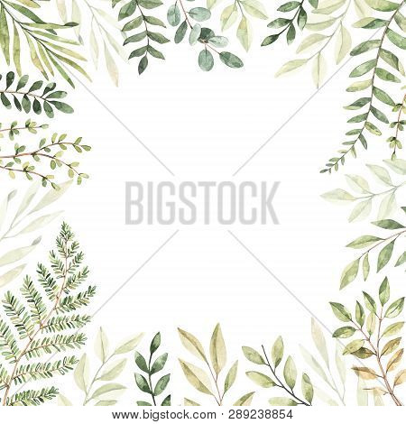 Hand Drawn Watercolor Illustration. Botanical Frame With Eucalyptus, Branches, Fern And Leaves. Gree