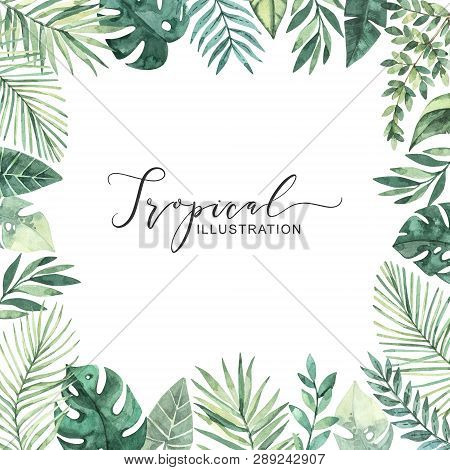 Watercolor Illustration. Summer Tropical Frame. Tropical Palm Leaves (monstera, Areca, Fan, Banana).