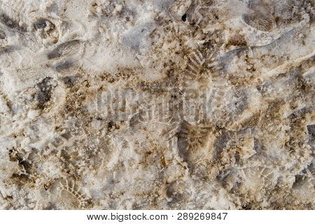 Dirty Footprints In The Snow In The Spring. Footprints In The Snow. Snowbreak, Thaw. Spring. Snow Ba