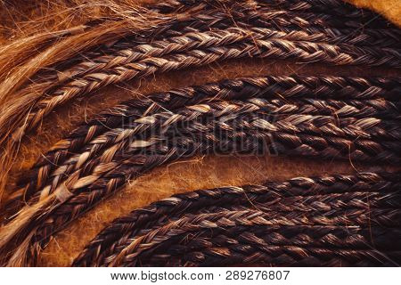 Fashion Hairstyles Braids Braids : Many Small Breeds Tail Creative Hairstyles With Thick Braids