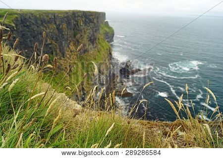 Wild Atlantic Way   Cliffs Of Moher