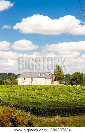 vineyard, Jurancon, France