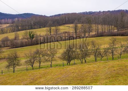 The Winter Landscape Around Podgaric In Bjelovar-bilogora County, Central Croatia