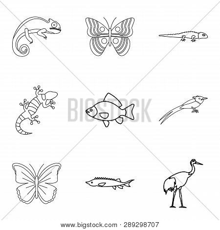 Lacertian Icons Set. Outline Set Of 9 Lacertian Icons For Web Isolated On White Background