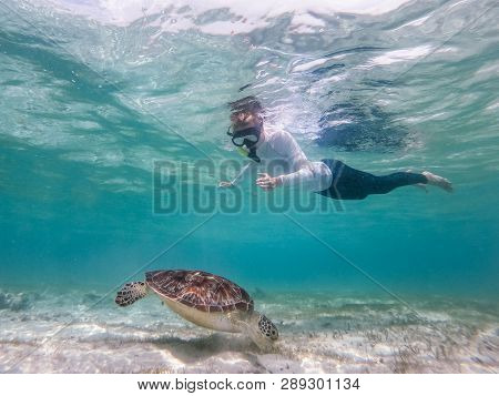 Woman On Vacations Wearing Snokeling Mask Swimming With Sea Turtle In Turquoise Blue Water Of Gili I