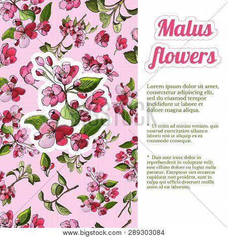 Template With Seamless Pattern And Sticker Of Blossoming Pink  Branch Of Apple Tree And Flowers. Han