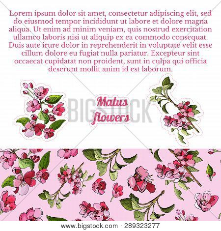 Composition With Seamless Pattern And Stickers Of Blossoming Pink  Branch Of Apple Tree And Flowers.
