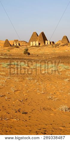 The Antique Pyramids Of The Black Pharaohs