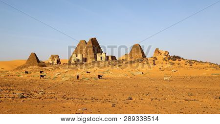 The Antique Pyramids Of The Black Pharaohs