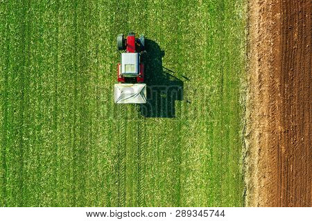 Agricultural Tractor Is Fertilizing Wheat Crop Field With Npk Fertilizers, Aerial View From Drone Po