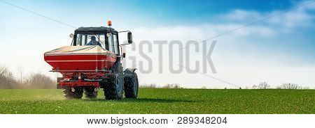 Unrecognizable Farmer In Agricultural Tractor Is Fertilizing Wheat Crop Field With Npk Fertilizer Nu