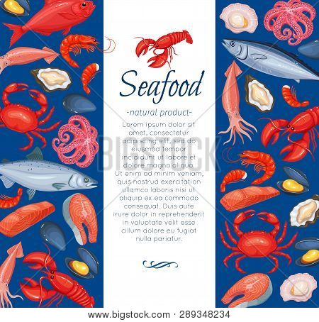 Seafood Layout Design. Mussel, Fish Salmon, Shrimp, Squid, Octopus, Scallop, Lobster Or Craps , Moll